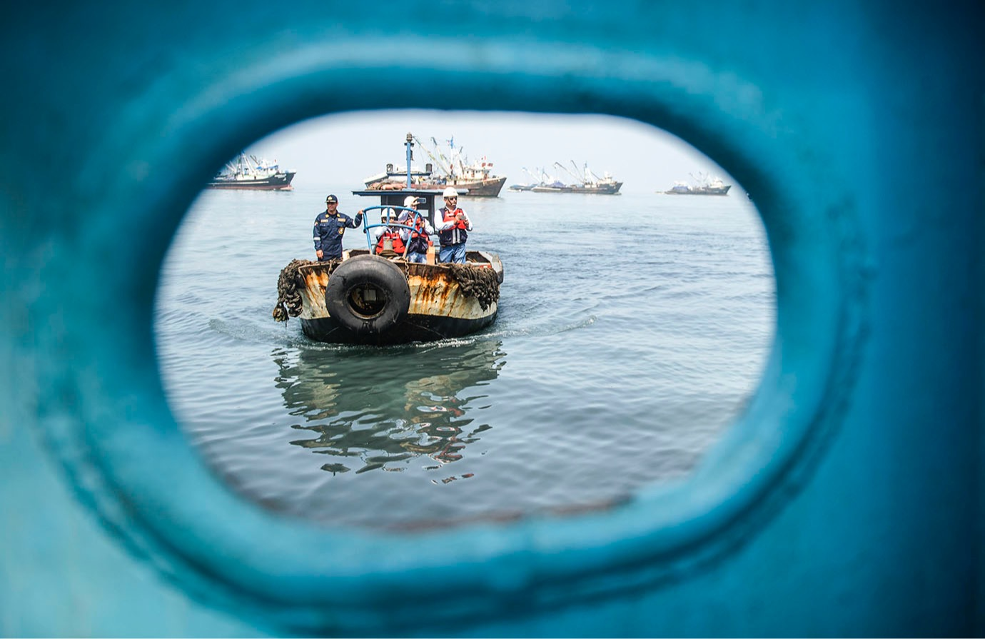 Monitoring, control and surveillance systems to combat illegal, unreported and unregulated fishing